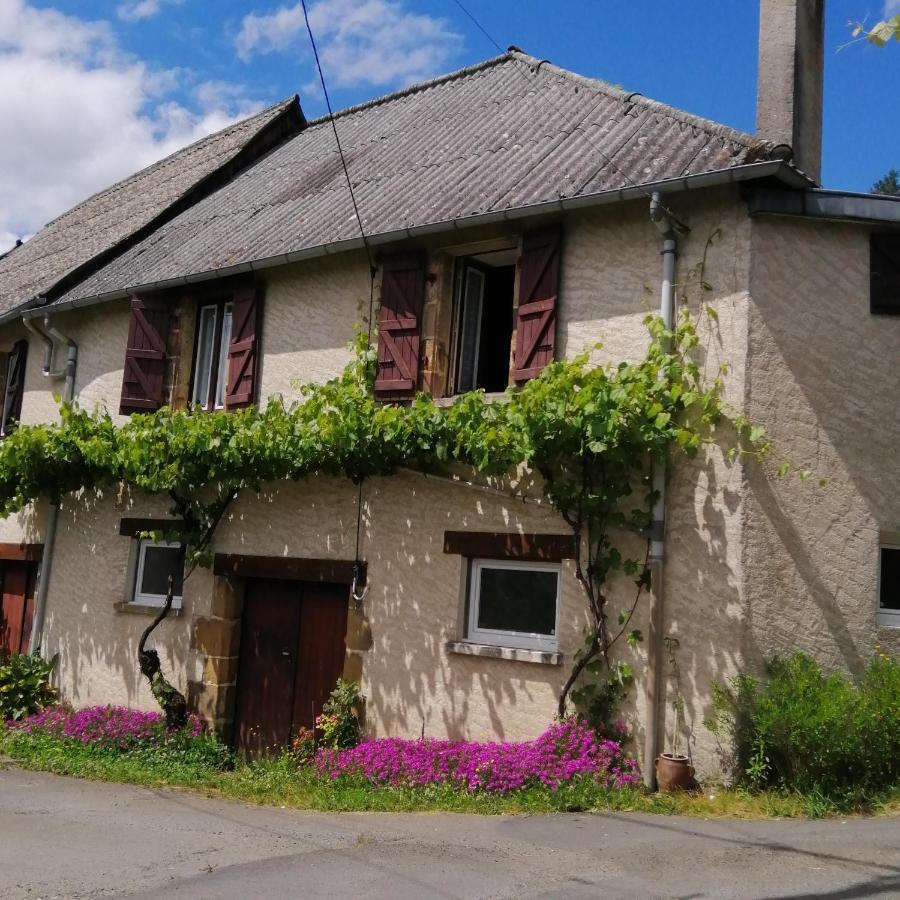 Maison Familiale Coteaux De La Vezere Voutezac Exteriér fotografie